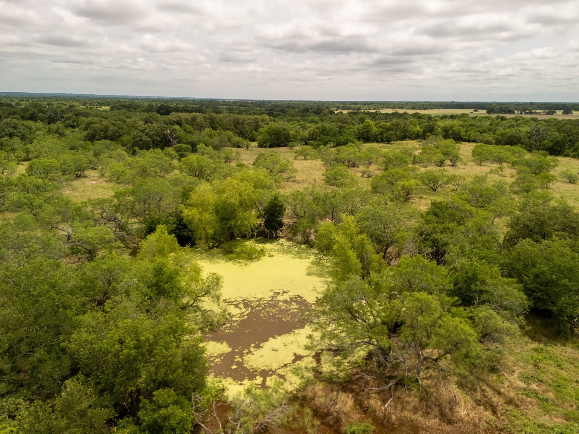 12.5 acres in Falls County - photo 7