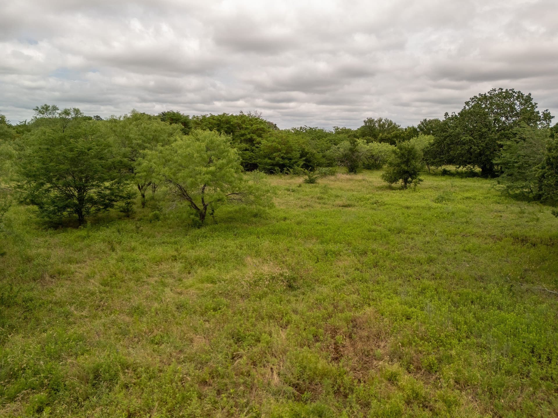 12.5 acres in Falls County - photo 10