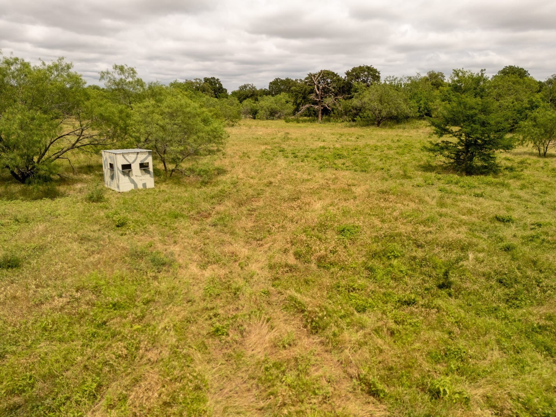 12.5 acres in Falls County - photo 5