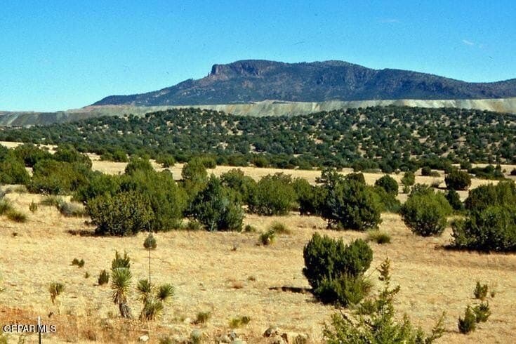 20.02 acres in Hudspeth County gallery image 4