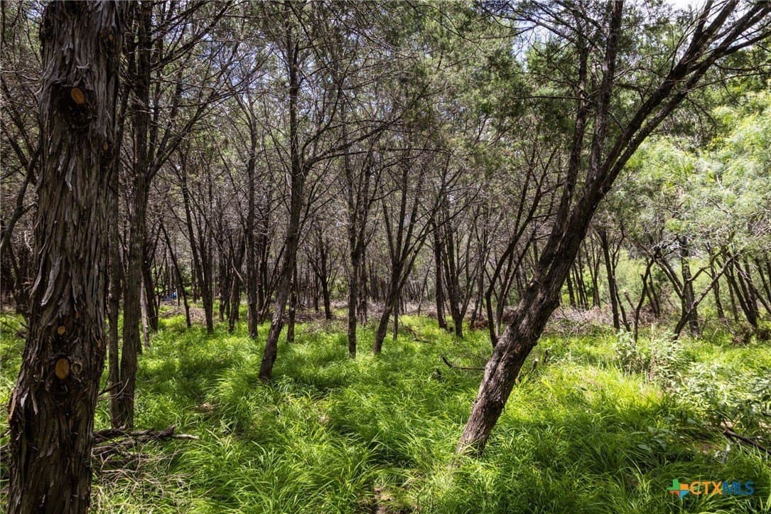 2.12 acres in Comal County - photo 11