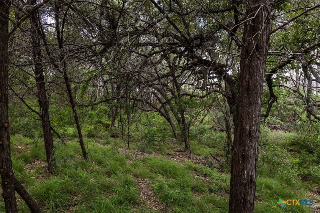 2.12 acres in Comal County - photo 8