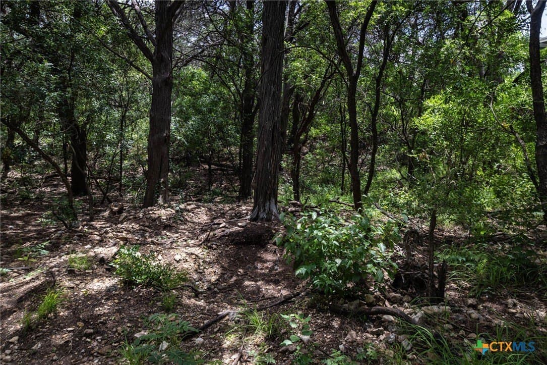 2.12 acres in Comal County - photo 6