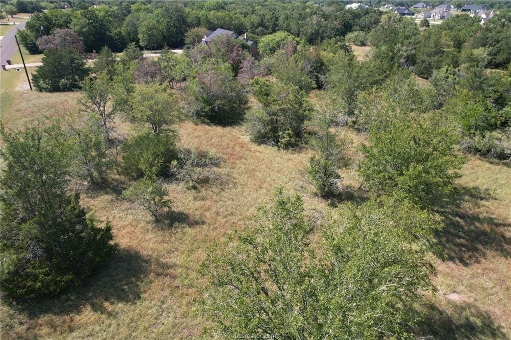 3.32 acres in Brazos County - photo 10