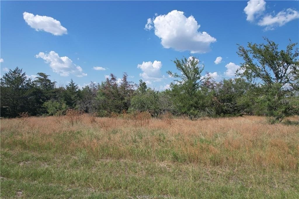 3.32 acres in Brazos County - photo 3