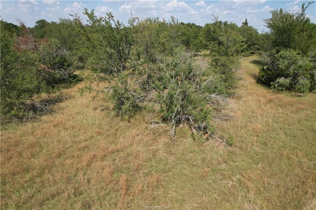 3.32 acres in Brazos County - photo 8