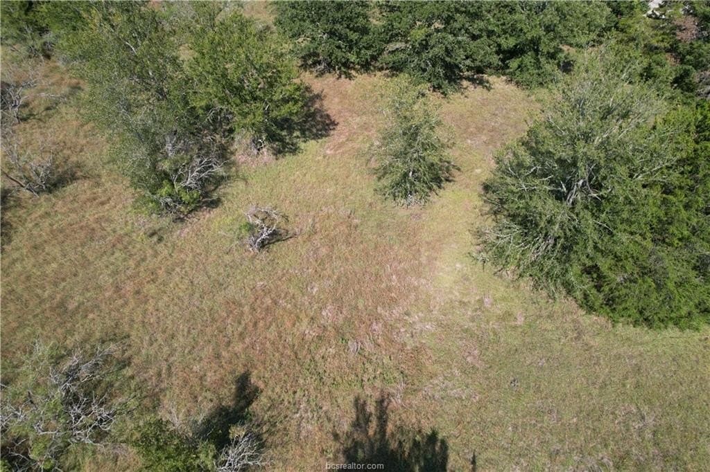3.32 acres in Brazos County - photo 9
