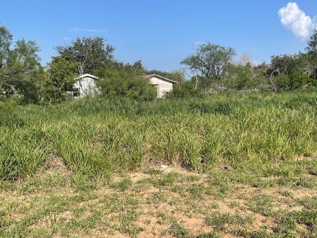 0.32 acres in Jim Hogg County gallery image 3