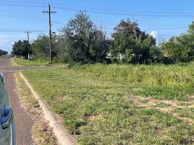 0.32 acres in Jim Hogg County - photo 8