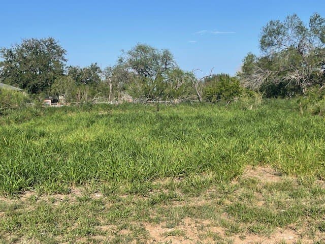 0.32 acres in Jim Hogg County - photo 6