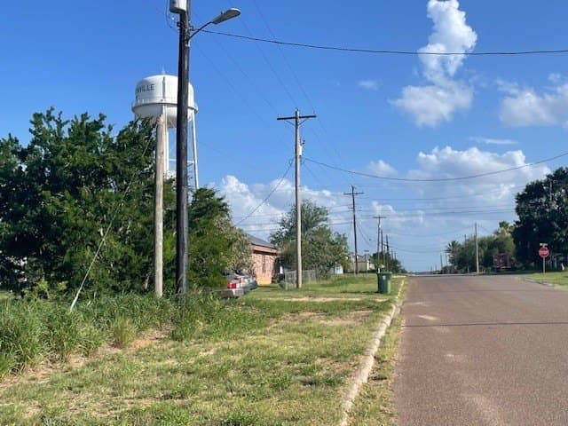 0.32 acres in Jim Hogg County - photo 7