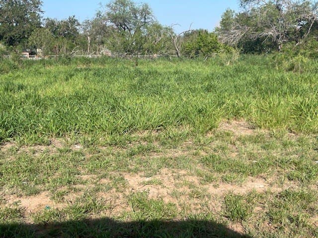 0.32 acres in Jim Hogg County featured view