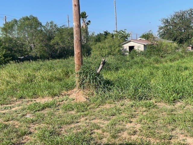 0.32 acres in Jim Hogg County gallery image 4