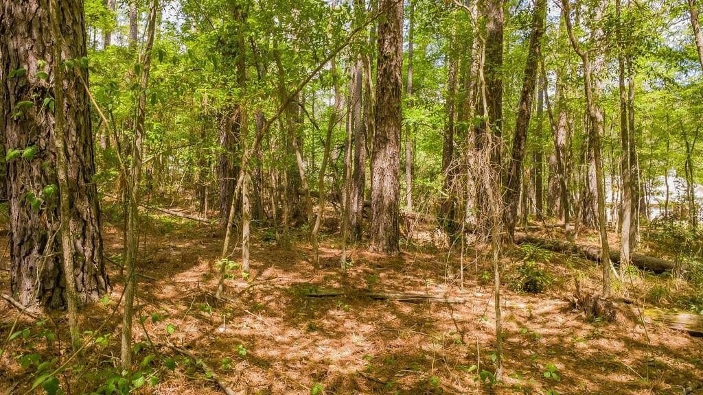 0.36 acres in Smith County gallery image 3