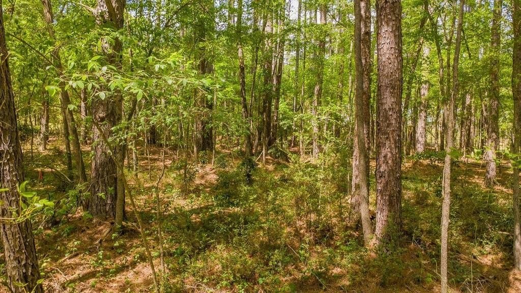 0.36 acres in Smith County