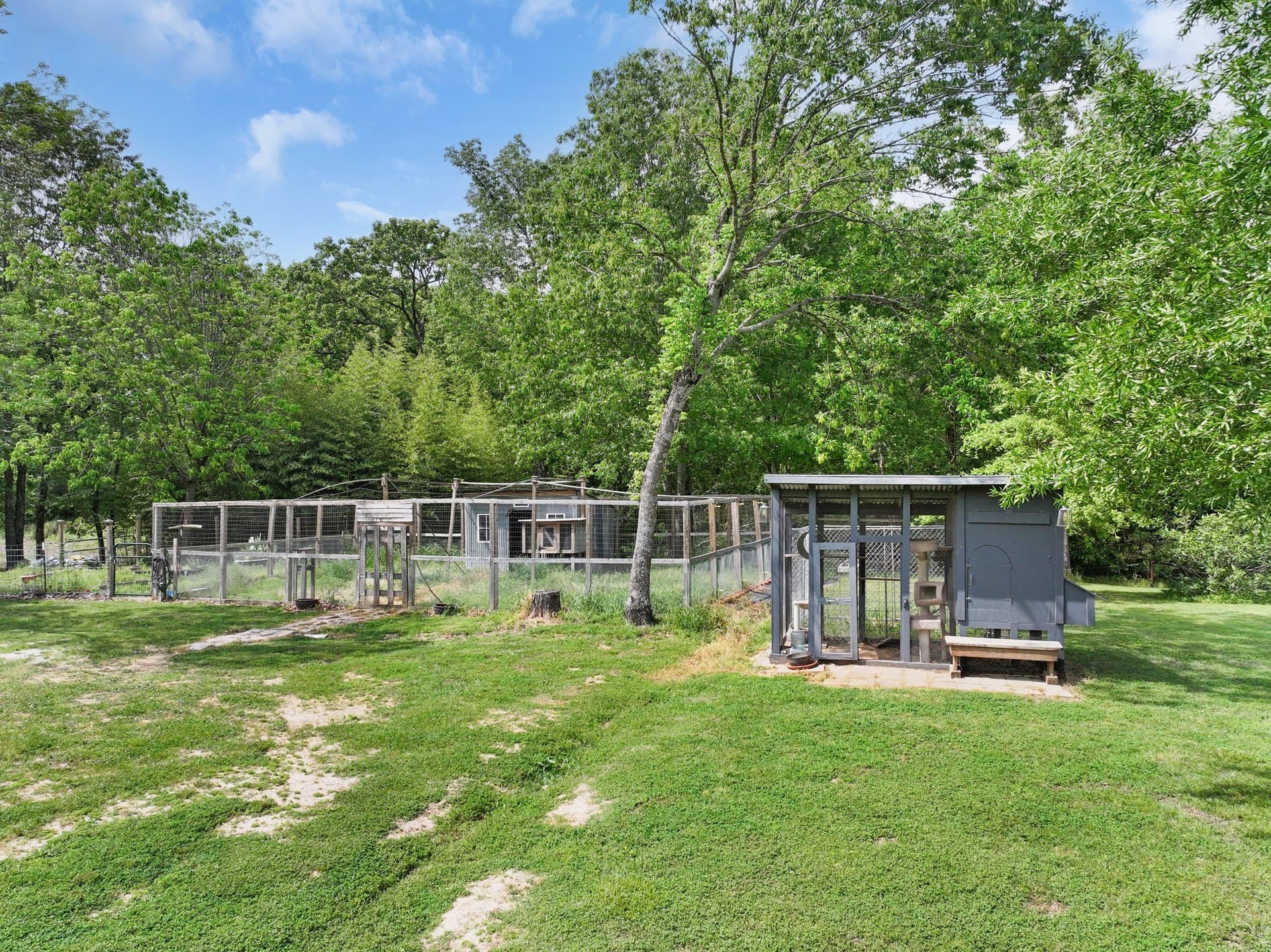 16 acres in Franklin (TX) County - photo 30