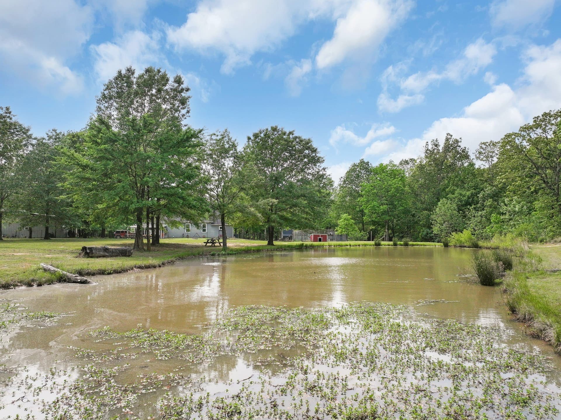16 acres in Franklin (TX) County - photo 35