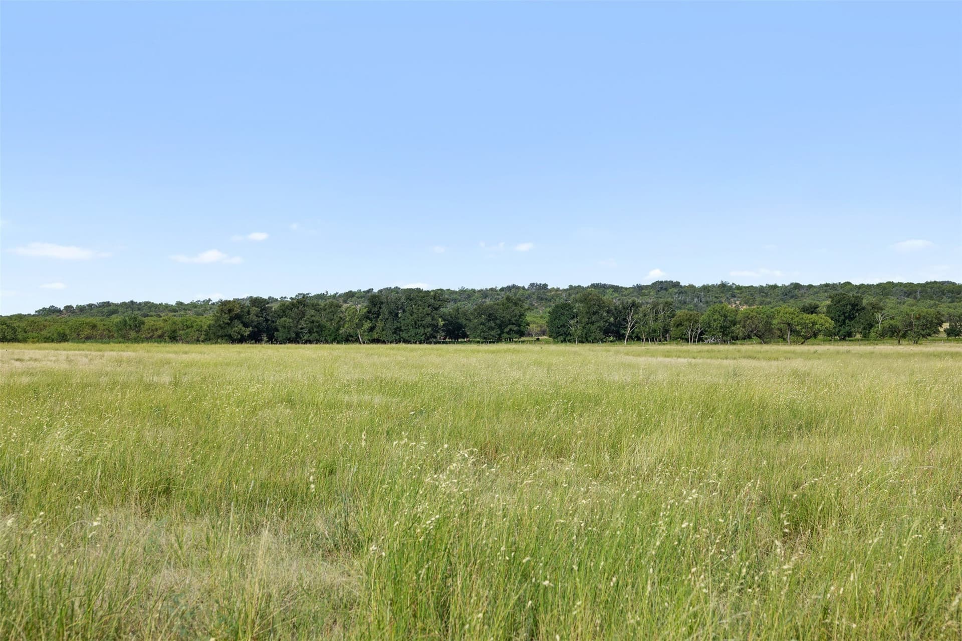 80.85 acres in Coleman County - photo 17