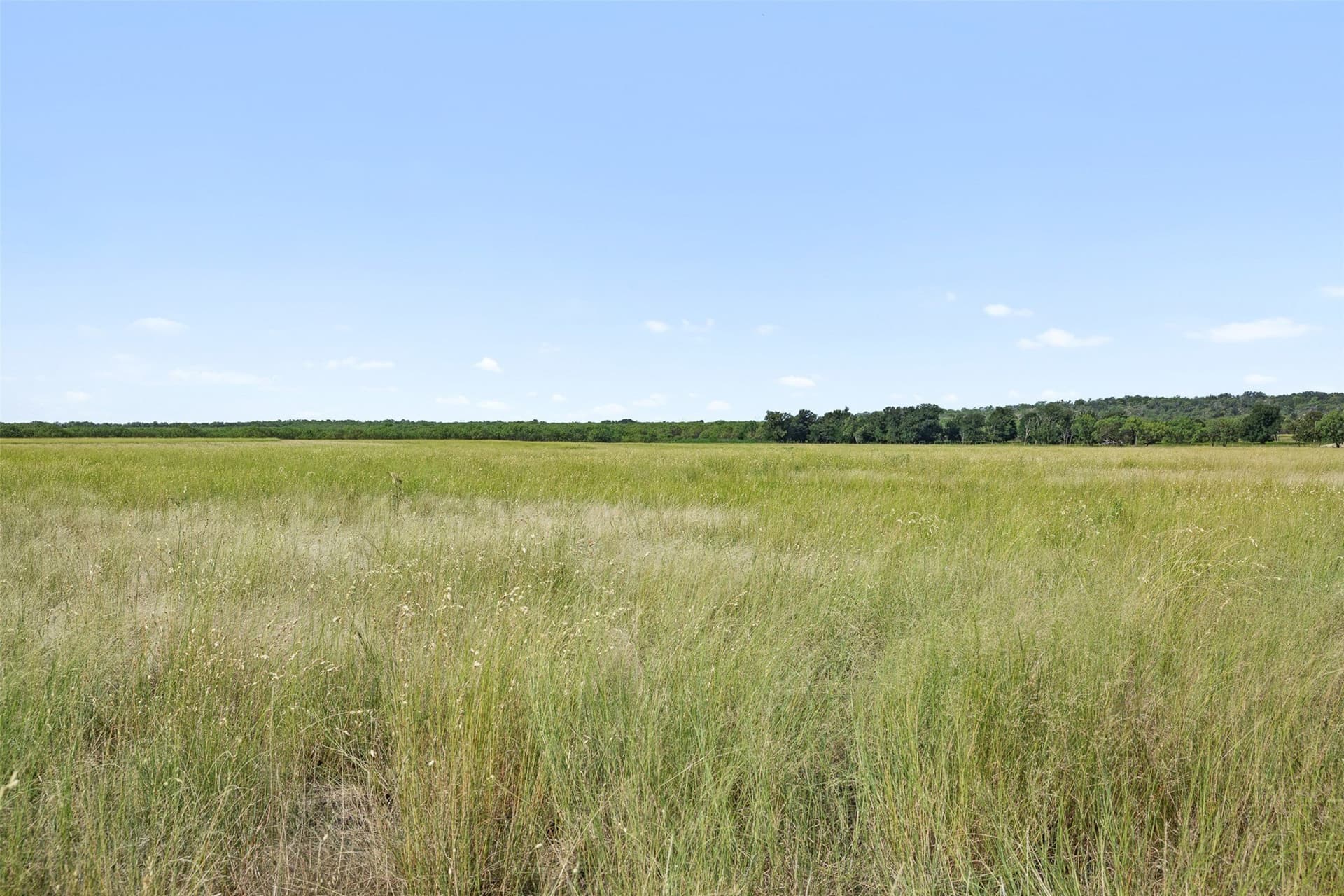 80.85 acres in Coleman County - photo 18