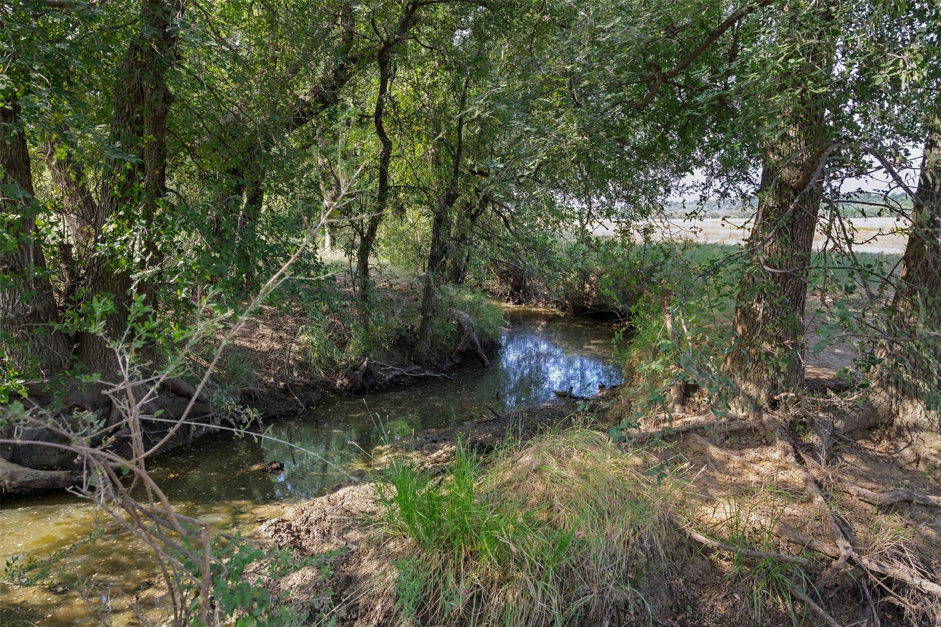 80.85 acres in Coleman County - photo 21