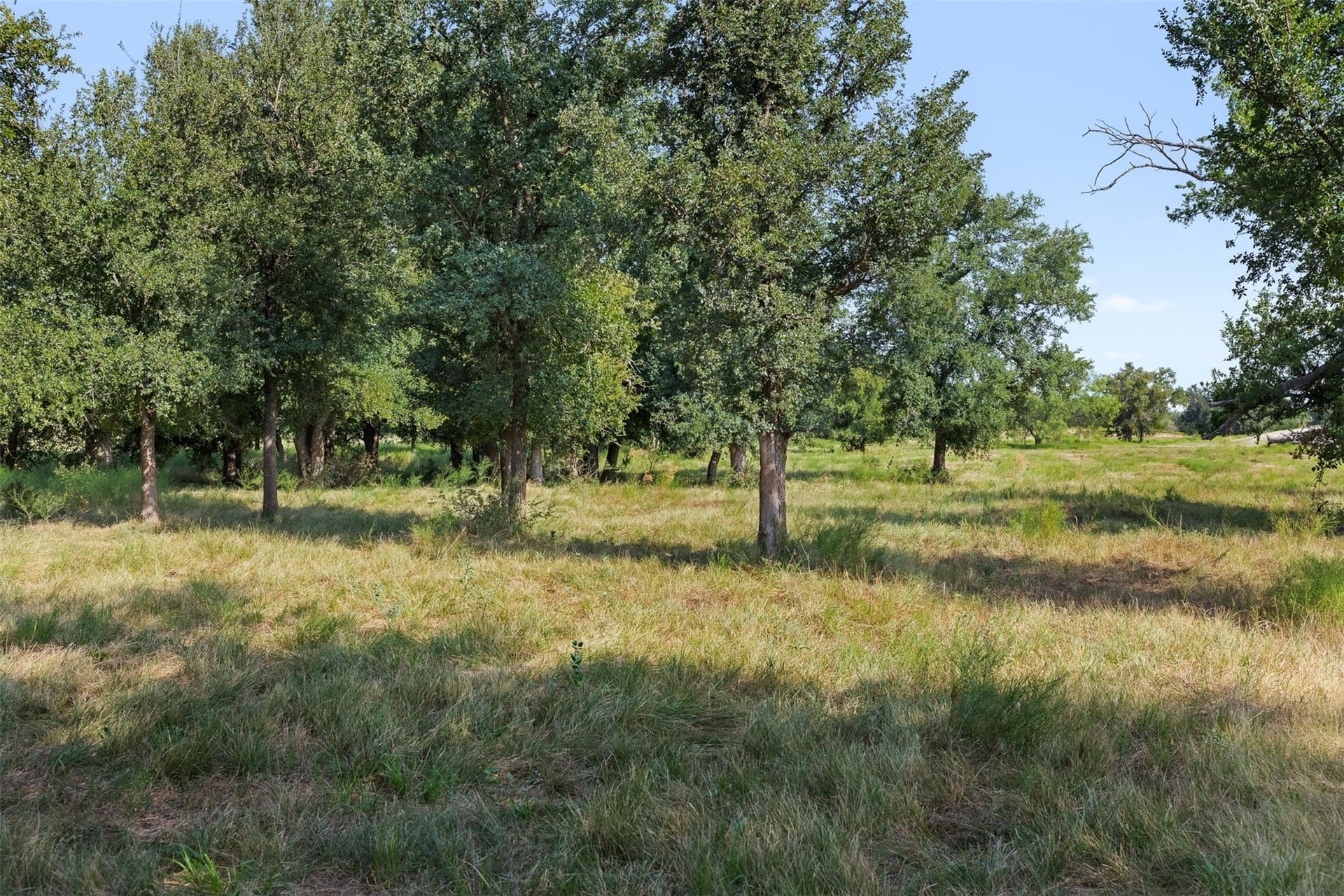 80.85 acres in Coleman County - photo 4