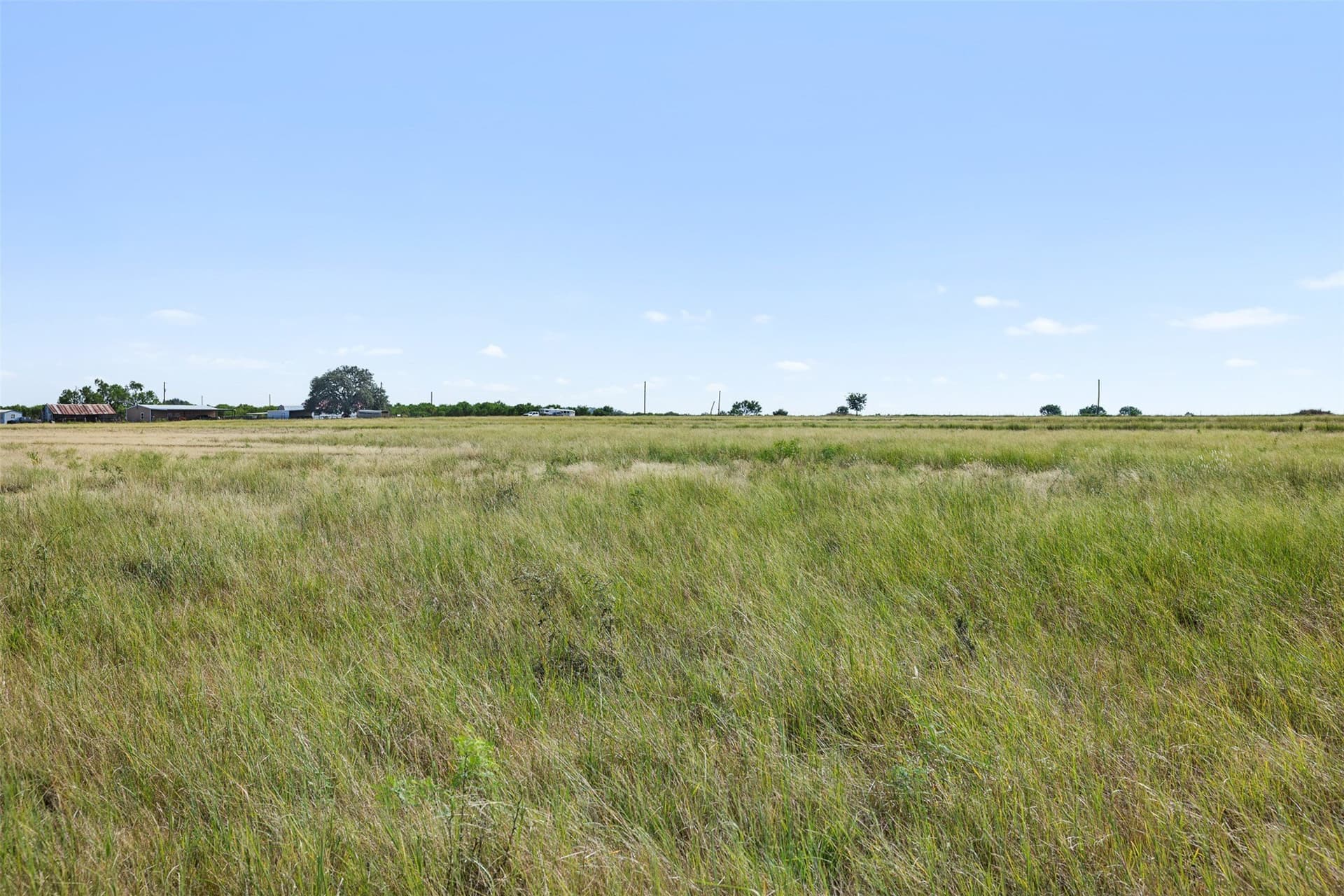 80.85 acres in Coleman County - photo 3