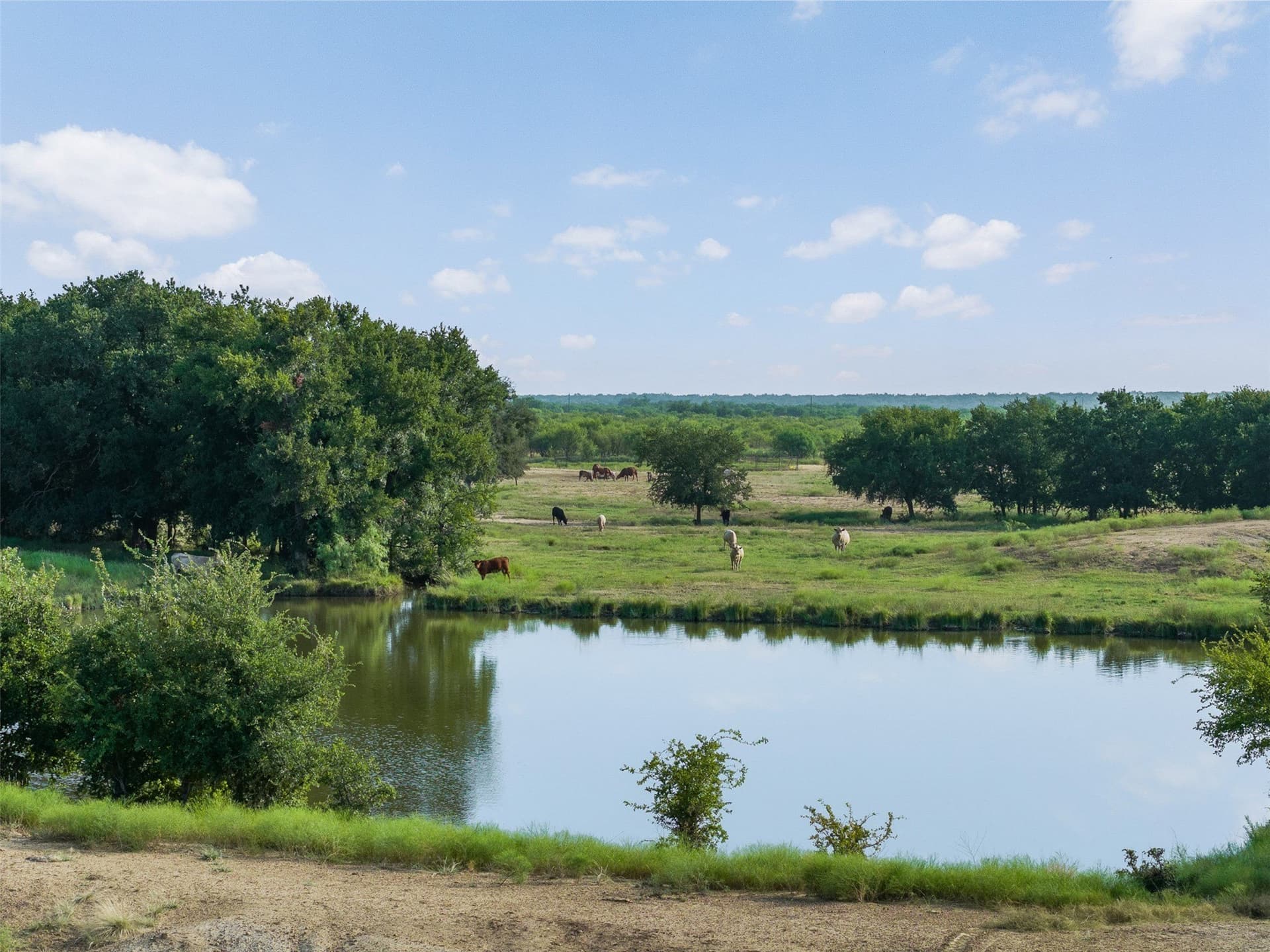 80.85 acres in Coleman County - photo 5