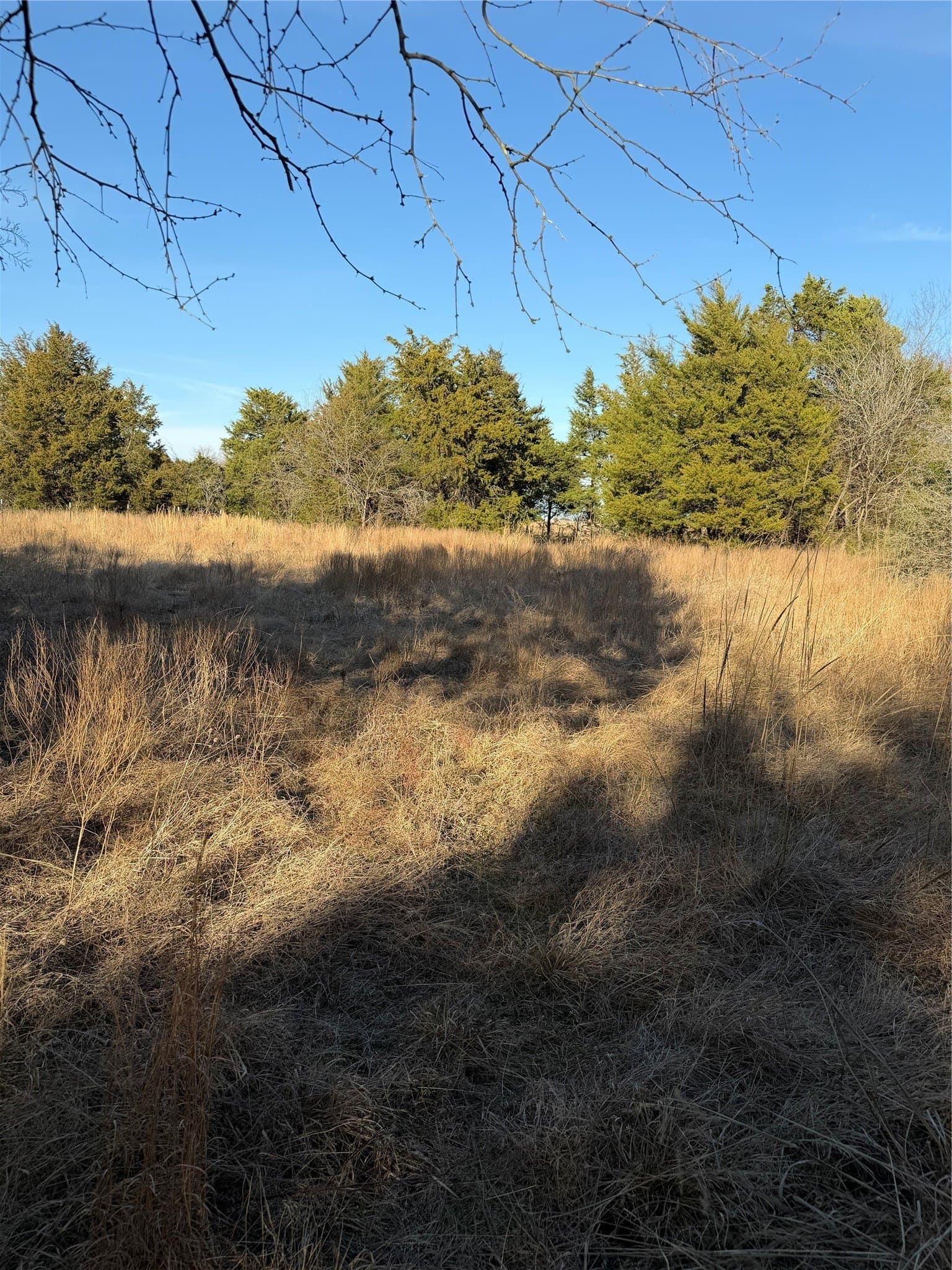 10.02 acres in Navarro County gallery image 2
