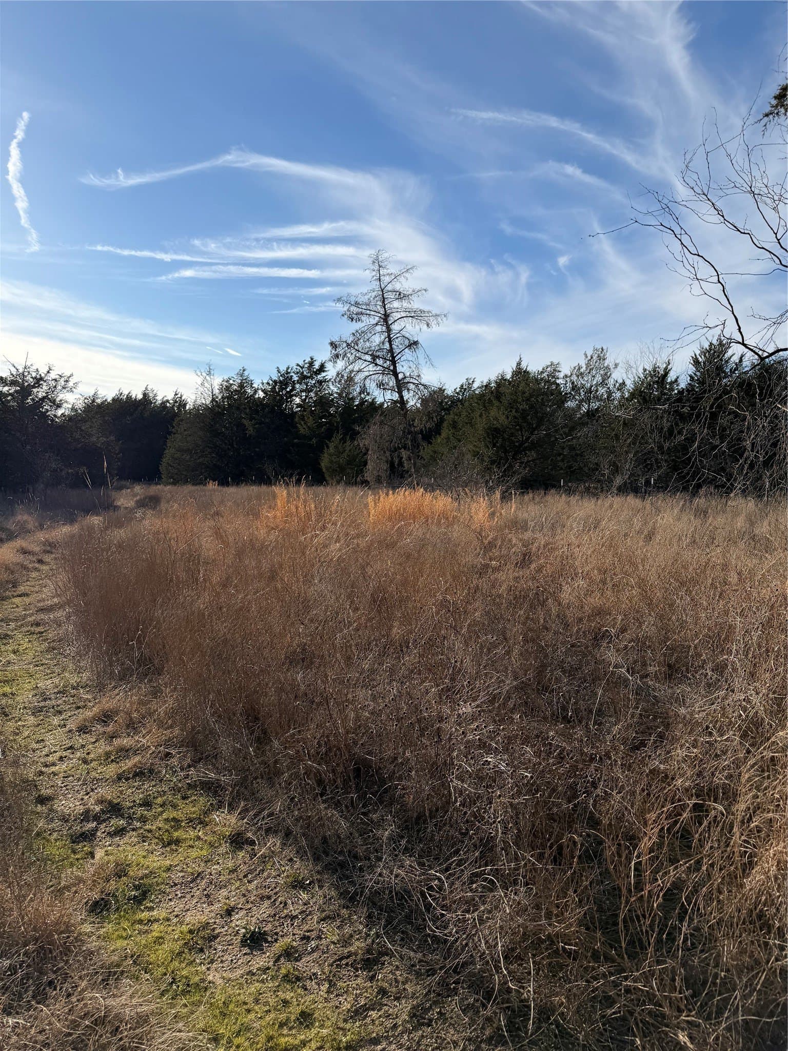 10.02 acres in Navarro County - photo 6
