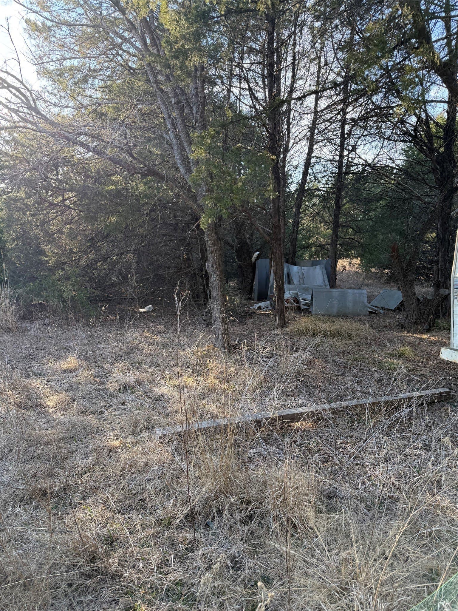 10.02 acres in Navarro County - photo 7