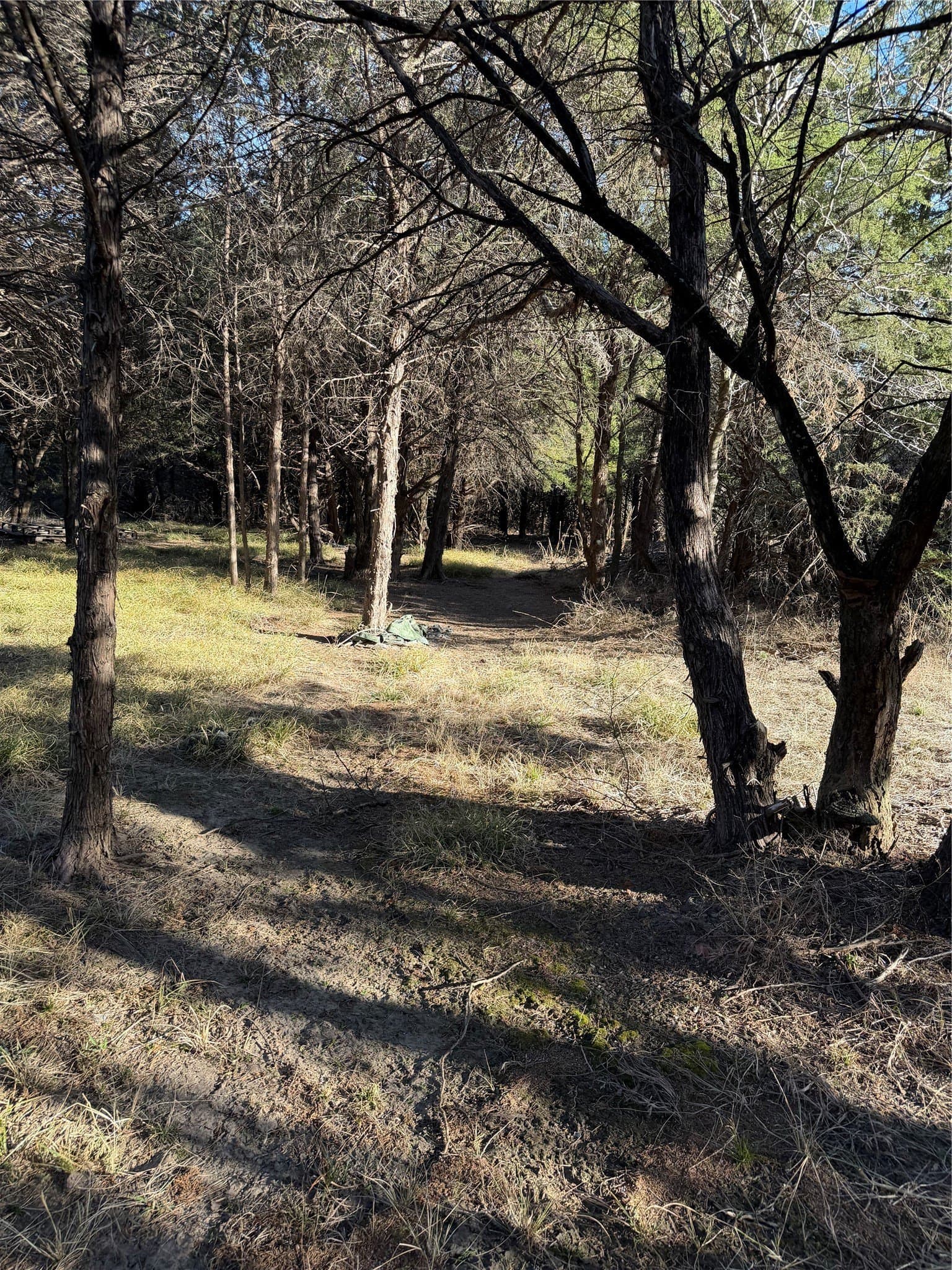 10.02 acres in Navarro County gallery image 4