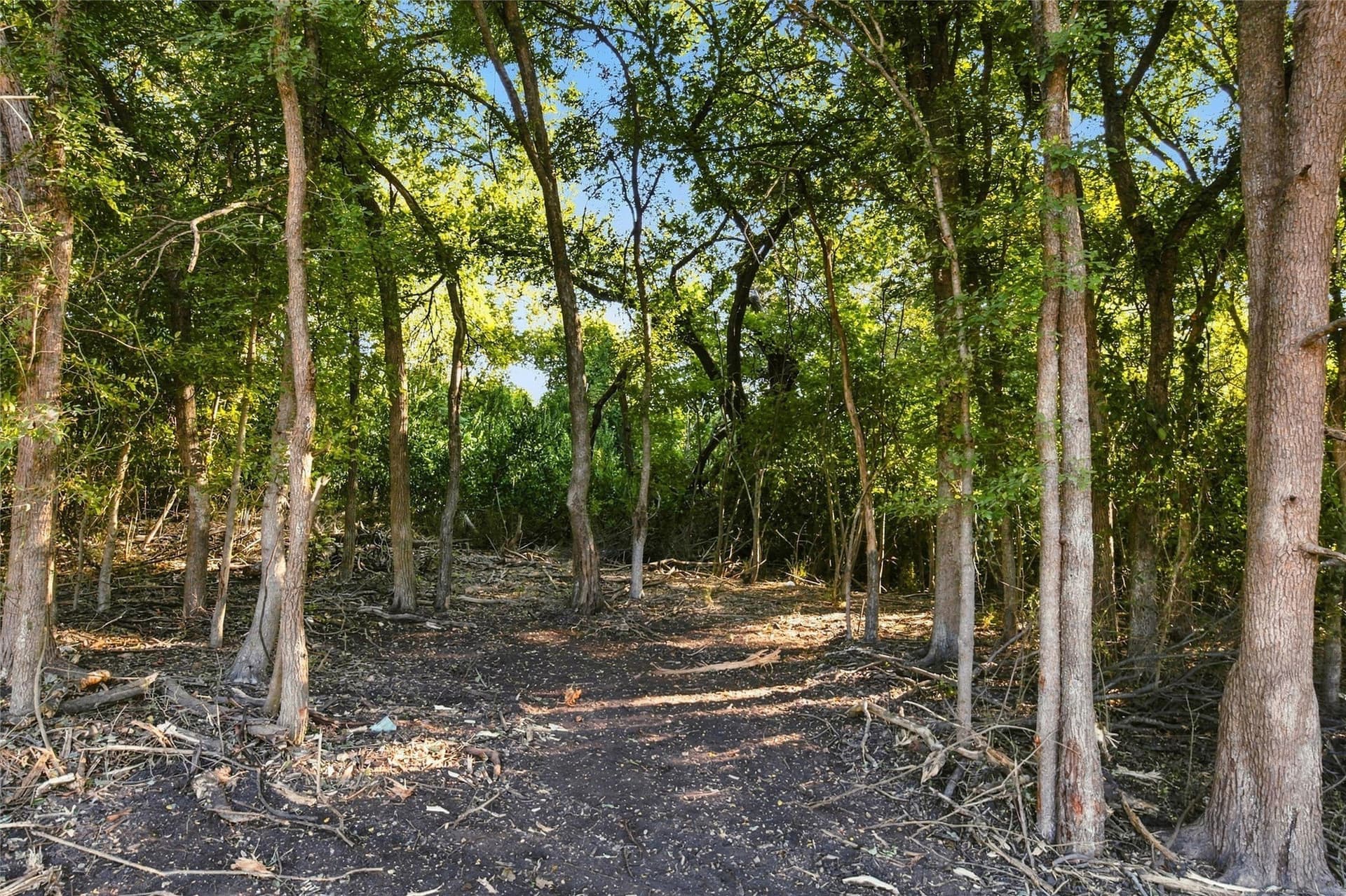 0.59 acres in Bosque County - photo 3