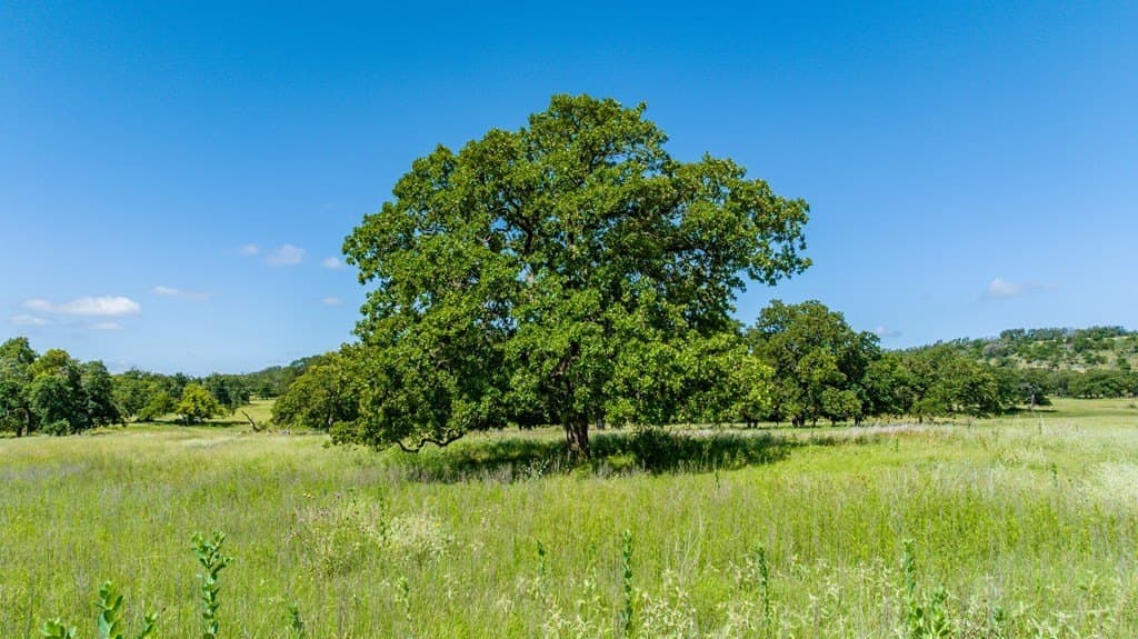10.17 acres in Gillespie County - photo 10