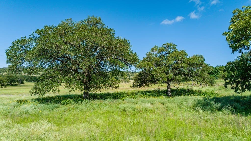 10.17 acres in Gillespie County - photo 11