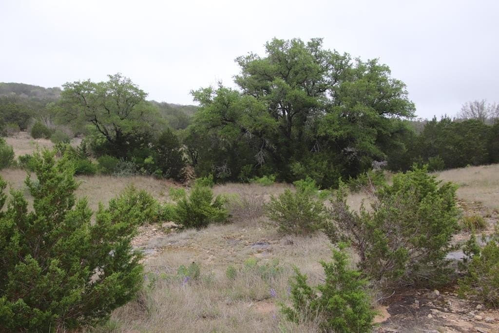 112.66 acres in Edwards County featured view
