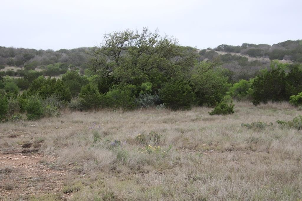 112.66 acres in Edwards County - photo 6