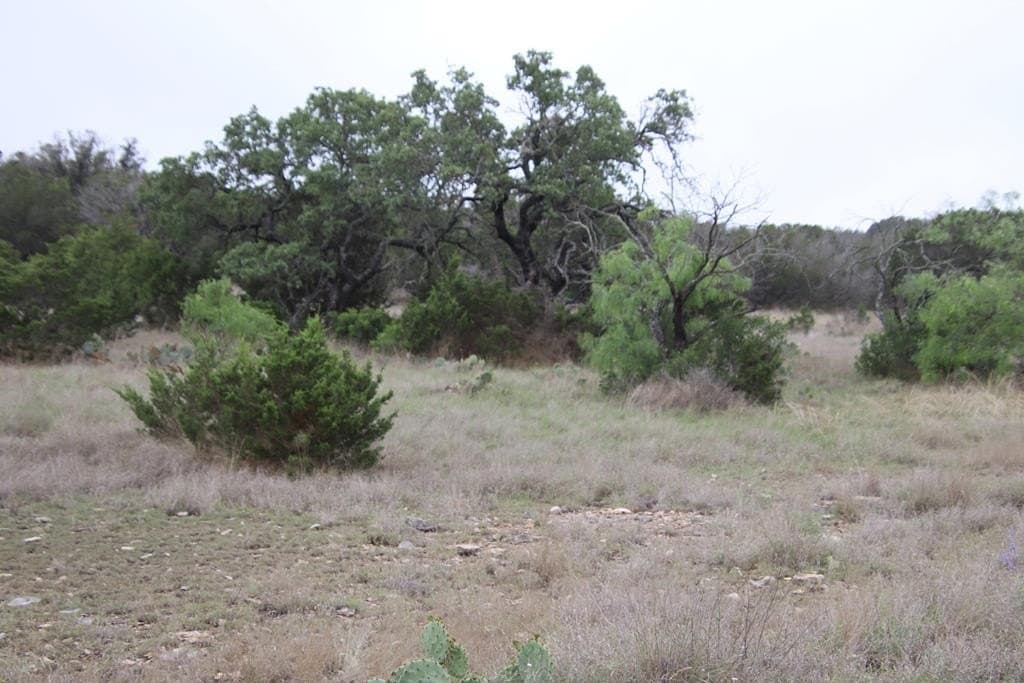 112.66 acres in Edwards County - photo 8
