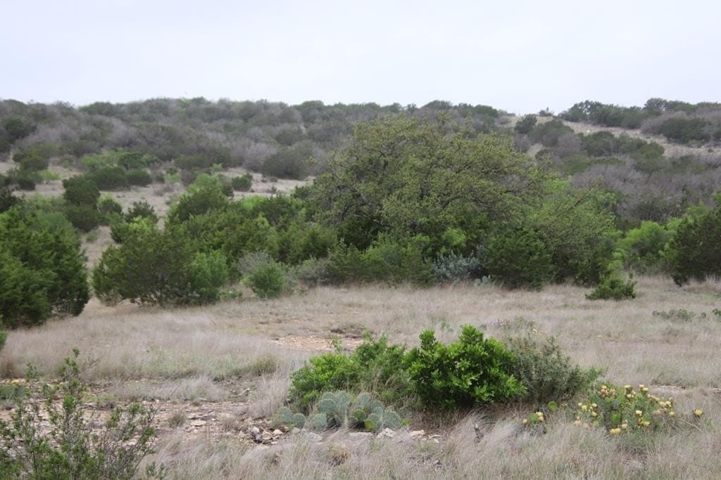 112.66 acres in Edwards County - photo 7