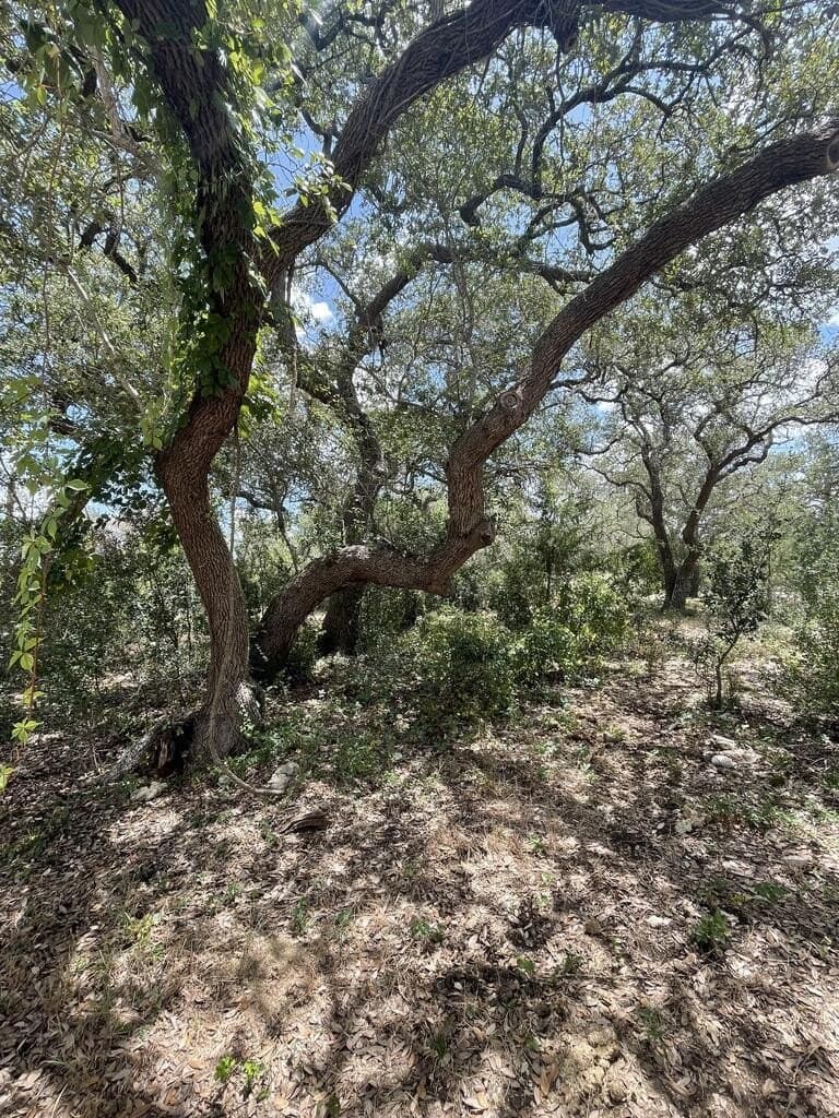 2.02 acres in Blanco County - photo 51
