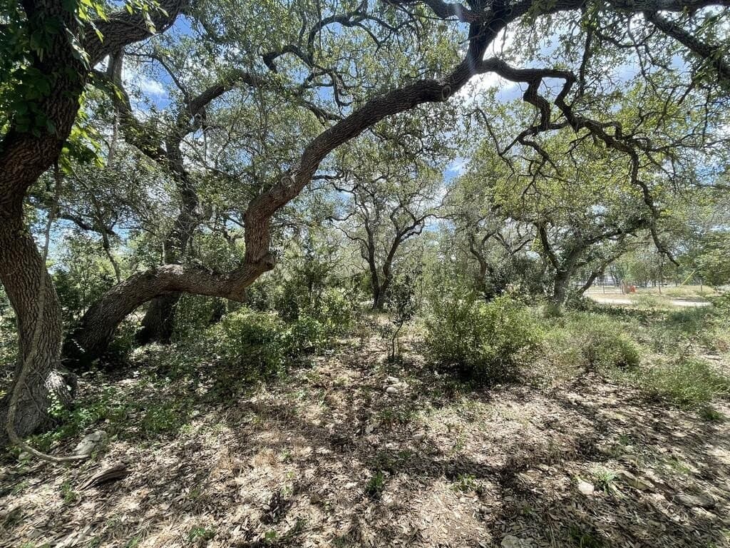 2.02 acres in Blanco County - photo 50