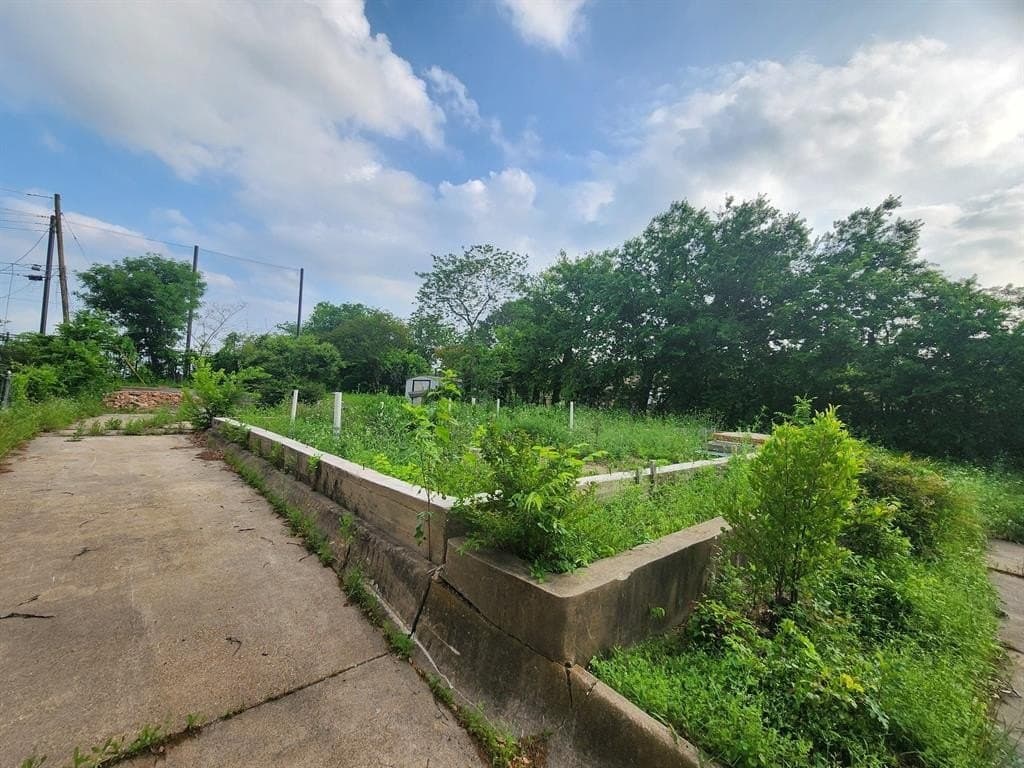 0.17 acres in Dallas County gallery image 3