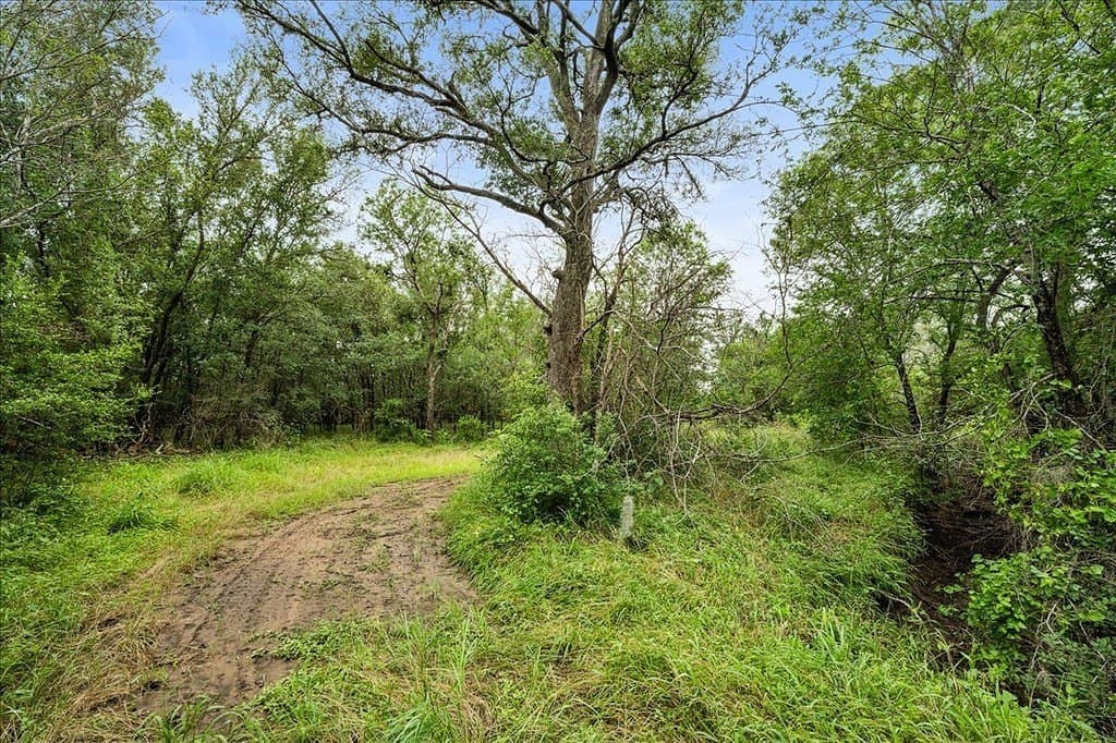 87.63 acres in Bastrop County - photo 12