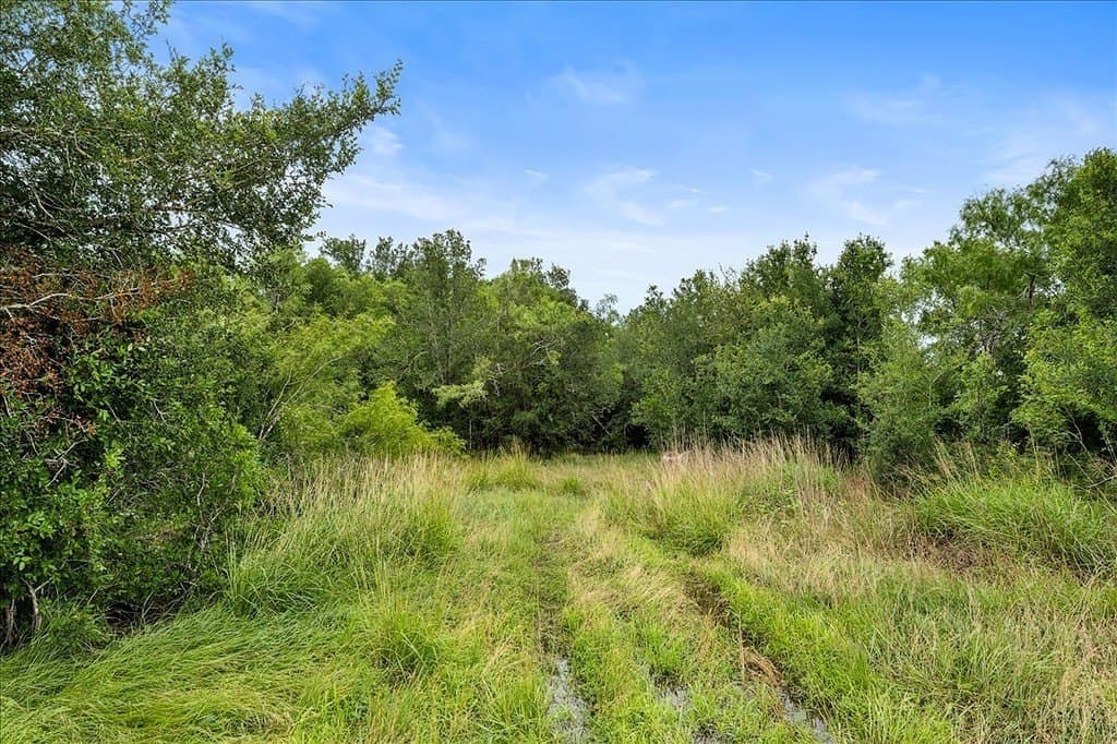 87.63 acres in Bastrop County - photo 14