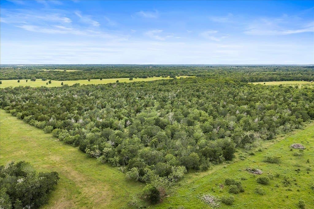 87.63 acres in Bastrop County - photo 8