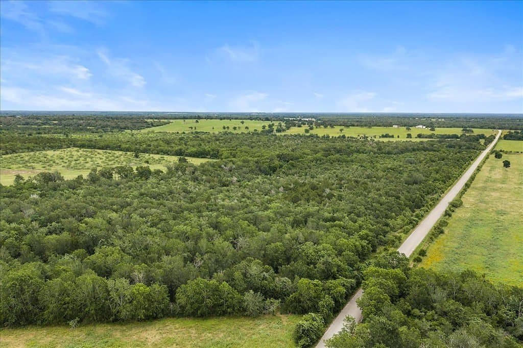 87.63 acres in Bastrop County - photo 6