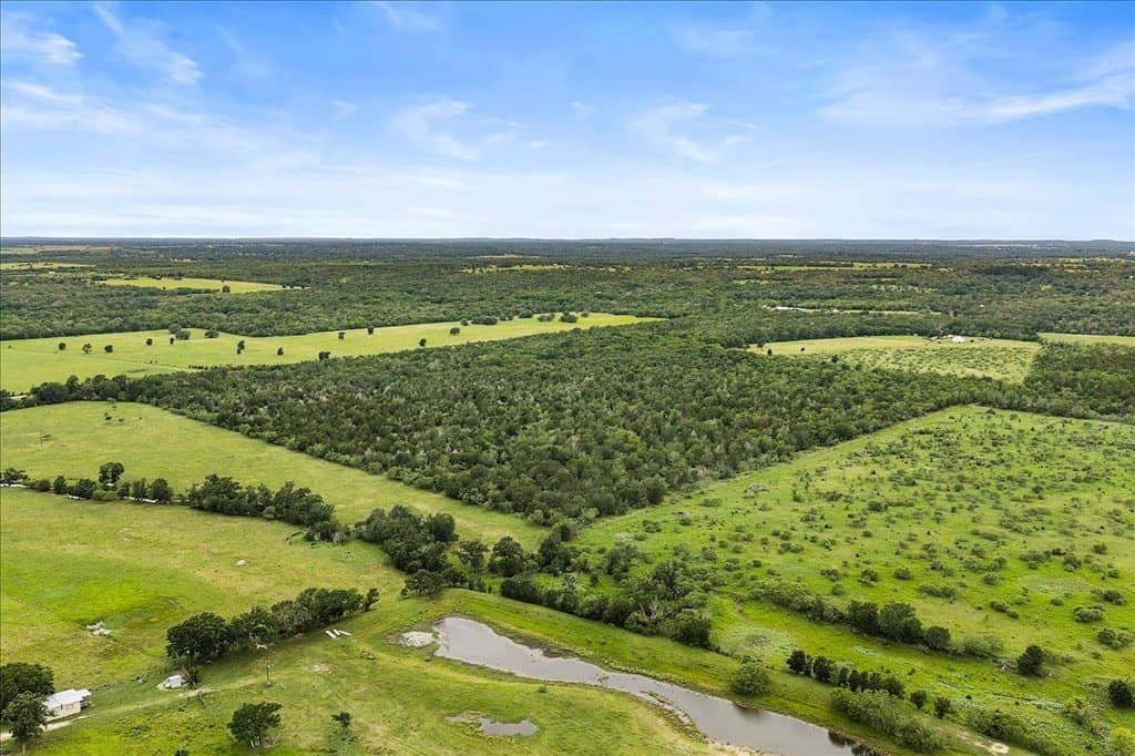 87.63 acres in Bastrop County - photo 7