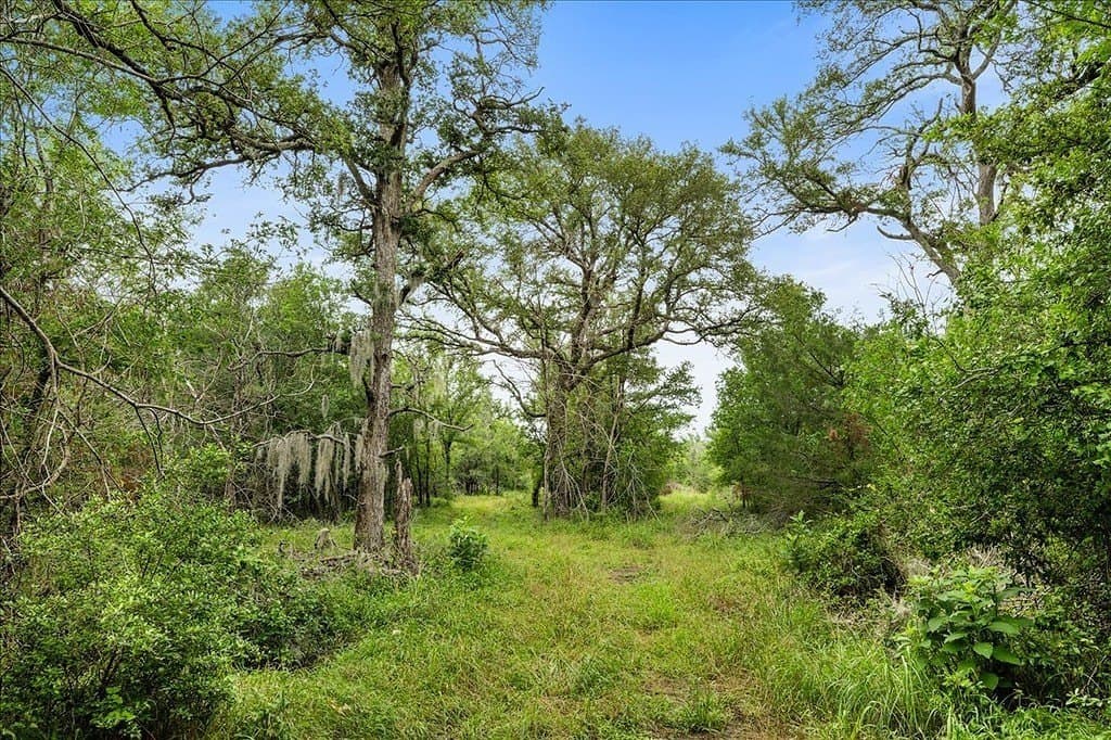 87.63 acres in Bastrop County - photo 13