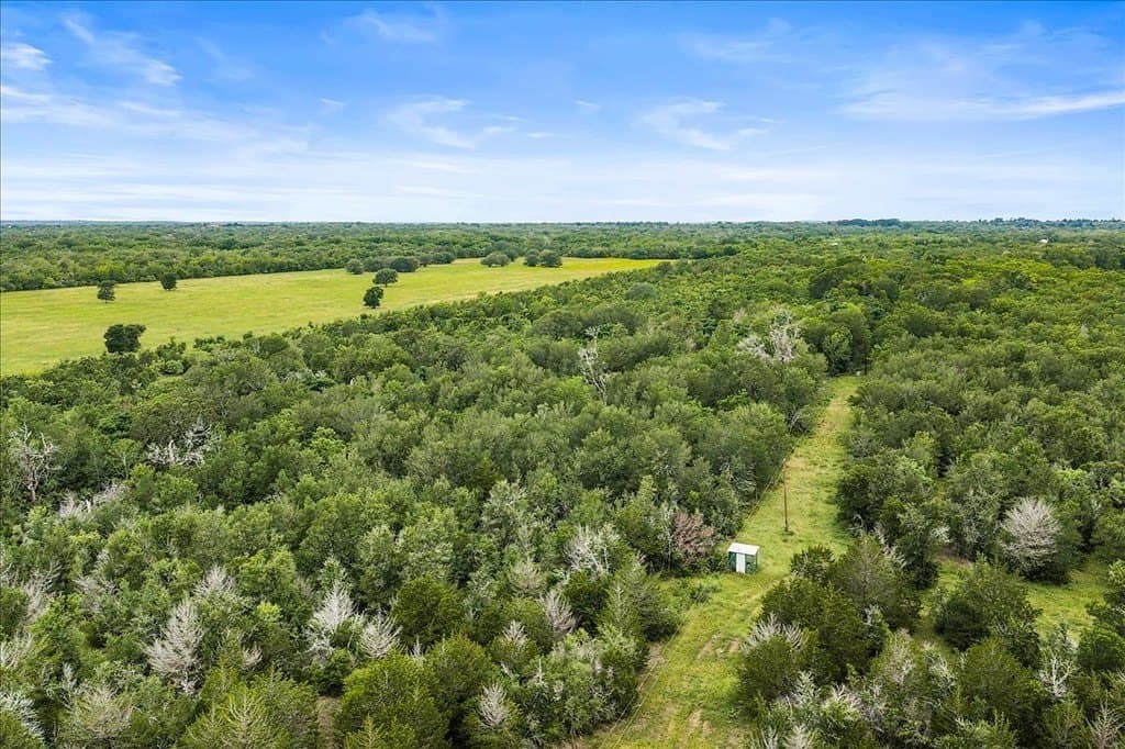 87.63 acres in Bastrop County - photo 9