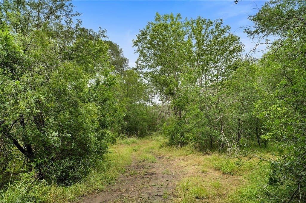 87.63 acres in Bastrop County - photo 15