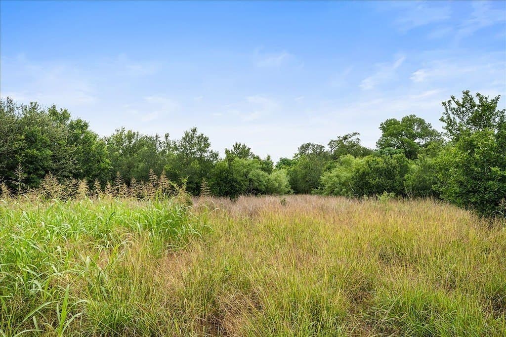 87.63 acres in Bastrop County - photo 10
